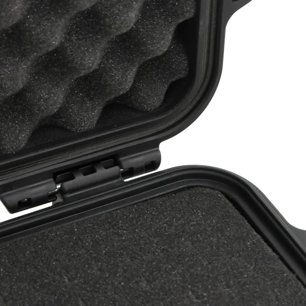 Valise de Vol Portable Noir 30x24,5x20 cm PP Mallette Rigide Boîte de Rangement avec Inserts en Mousse Amovibles, étui de Transport Valise de Protection
