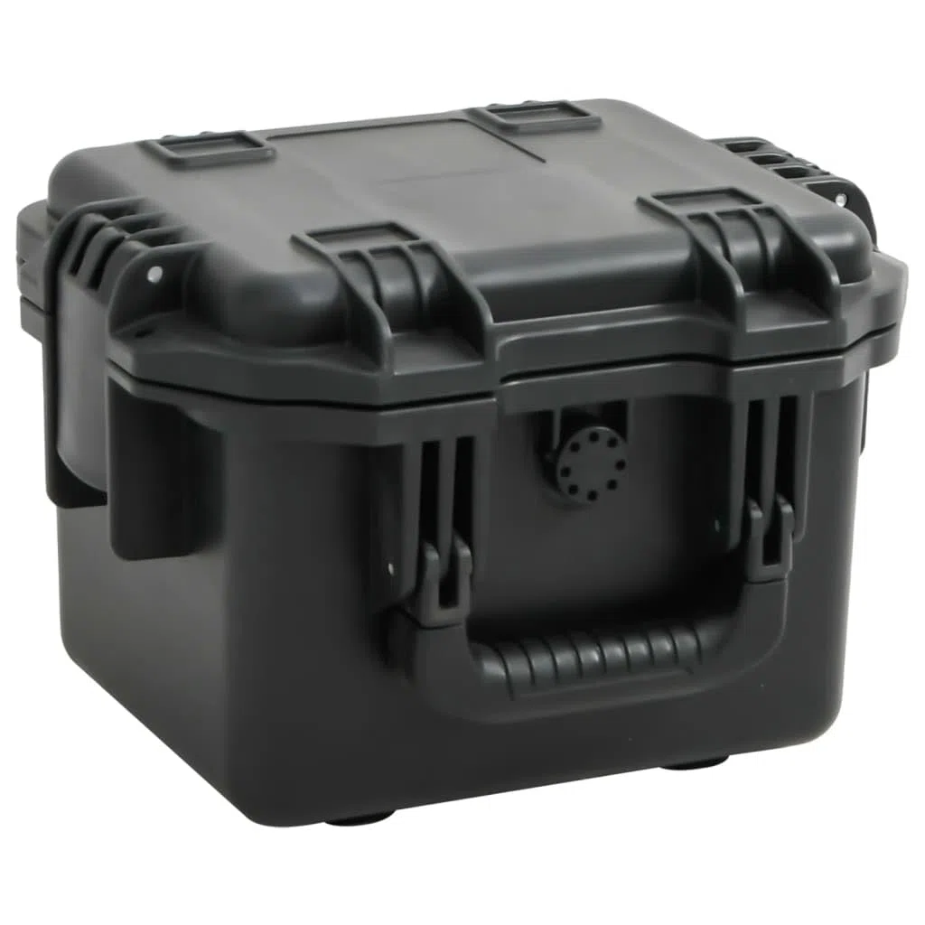 Valise de Vol Portable Noir 30x24,5x20 cm PP Mallette Rigide Boîte de Rangement avec Inserts en Mousse Amovibles, étui de Transport Valise de Protection