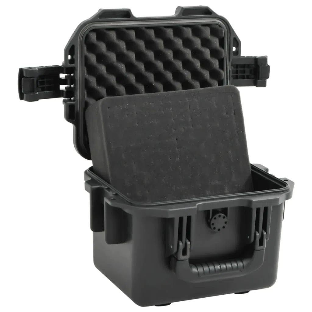 Valise de Vol Portable Noir 30x24,5x20 cm PP Mallette Rigide Boîte de Rangement avec Inserts en Mousse Amovibles, étui de Transport Valise de Protection