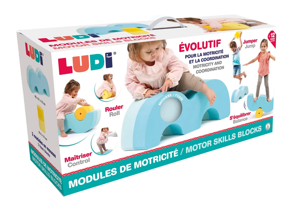 Ludi - Blocs De Motricité - 2 Modules Évolutifs en Mousse - Dès 12 Mois - pour Imaginer Toute Sorte D'Exercices - Coordination Et Équilibre - Matière Douce, Légère, Résistante - 60 x 21 x 18 cm